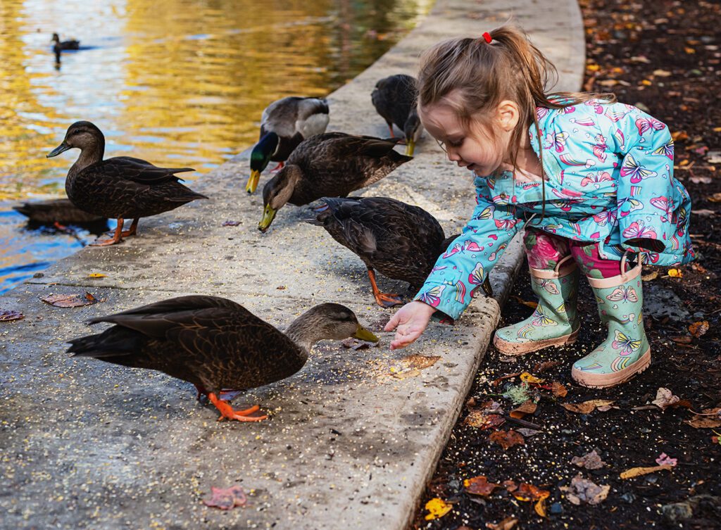 Girl Feeding Ducks